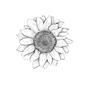 Sunflower Print | Modern Sunflower Art for Home | Floral Print